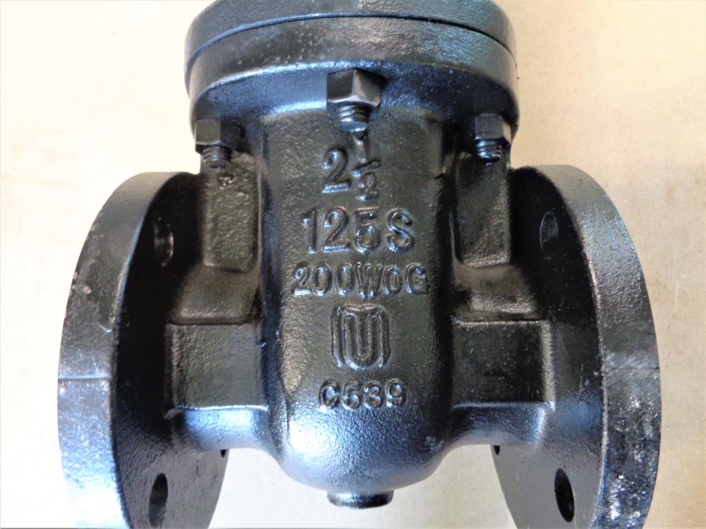 Milvaco 2.5" 125S IBBM Gate Valve, 200 WOG, Ductile Iron, Fig# 2885M